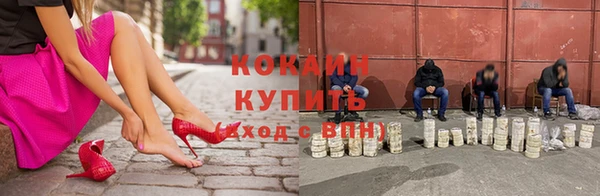 твердый Майский