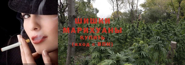 твердый Майский