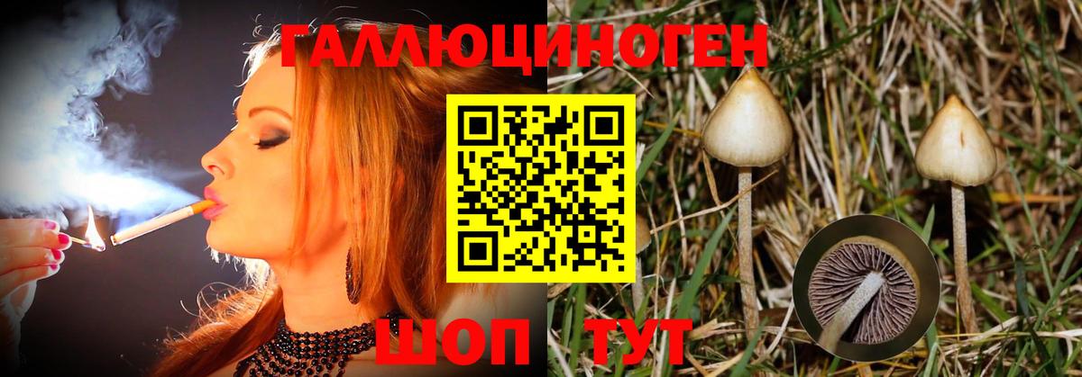 Псилоцибиновые грибы мухоморы  Кондопога 