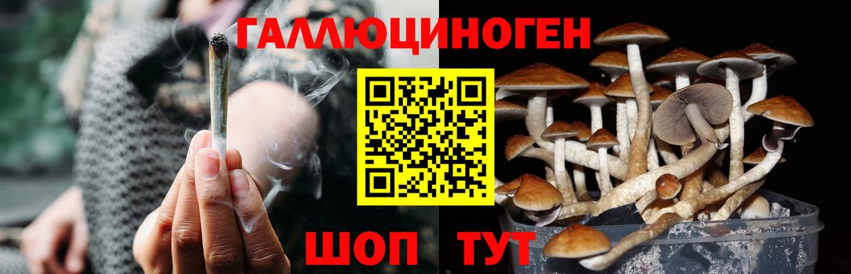 цена наркотик  Вход с VPN  Кондопога  Галлюциногенные грибы мухоморы 