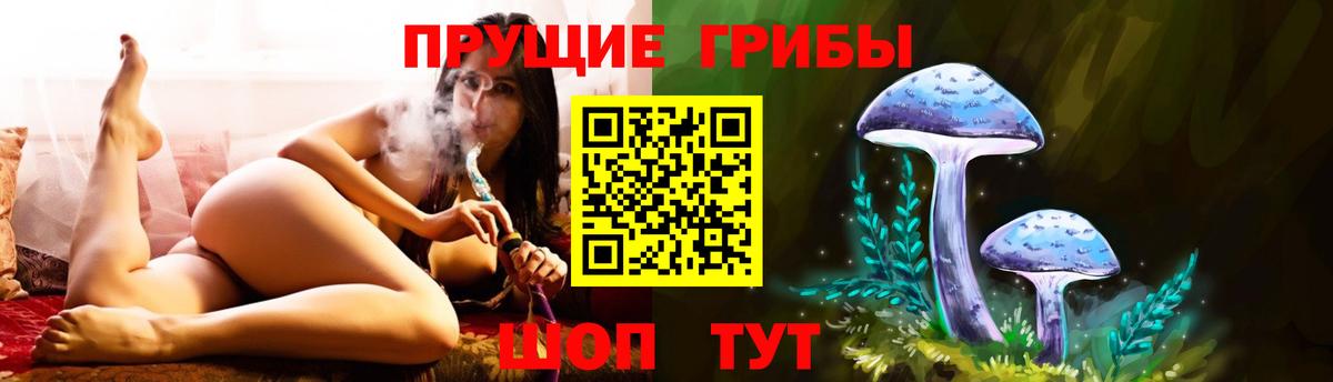 Галлюциногенные грибы ЛСД Кондопога