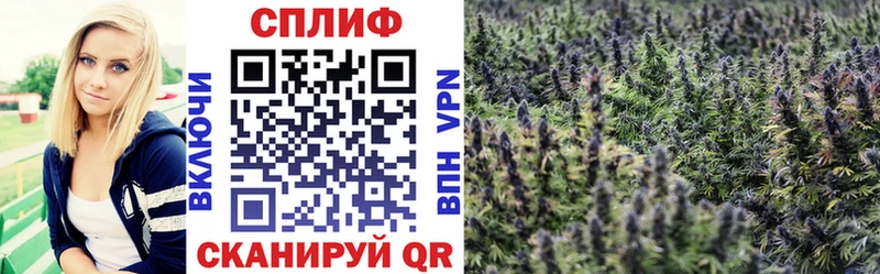 Бошки Шишки White Widow  ОМГ ОМГ ТОР  даркнет наркотические препараты  как найти закладки  Кондопога 